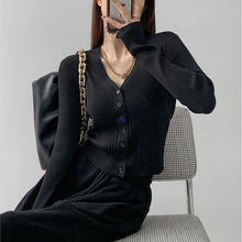 2024早秋小衫洋气减龄韩系别致上衣方领开衫针织外套女短款