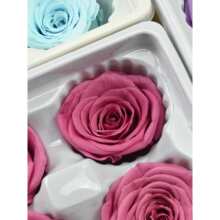 ������B��3-4õ��10�䱧��Ͱ���ĸɻ��滨���˹�diy�}�Q�������l