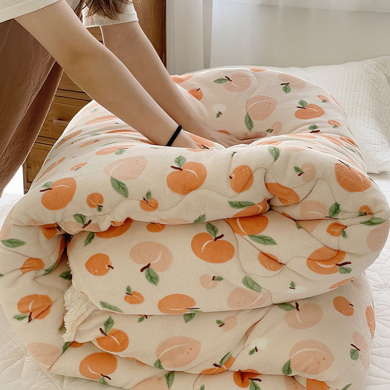 2021新款牛奶绒羊羔绒双面绒印花冬被被子被芯 150*200cm冬被