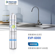 爱惠浦 Everpure EVP-6000 净水器主滤芯