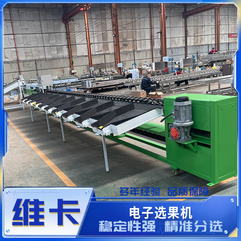Tomato and citrus electronic fruit sorting machine