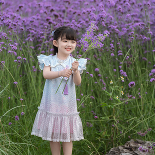 Elegant Baby Girl Dress, Hanfu Children's Performance Costume, Wholesale Stylish Princess Dress, Toddler Girl Evening Gown, Candy Color