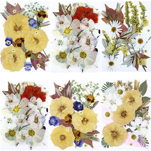 �ɻ�diy���ϰ�����������ƬѺ�����ֹ����z�����滨ֲ����~�˱�