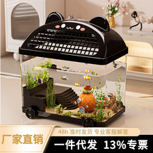 �~��С�Ϳ͏d���B�쾰�^�V����һ�w�C2026�¿�w����������~��
