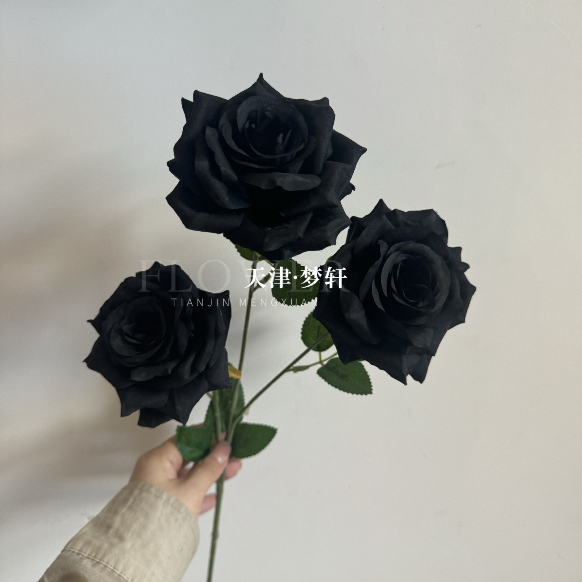 다이아몬드 로즈