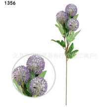 �S�����l�ٻ��_������ ���滨�Gֲ�����l��c�b�ƷINS�L�羳