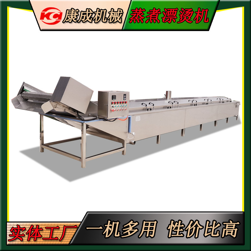 厂家批发食用菌漂烫机 蒸汽加热黑木耳漂烫机 瓜果蒸煮线性价比高