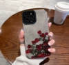 Light gray red rose