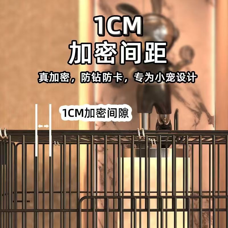 0085c3c7-559a-4f51-a0d2-183dface06d4.jpe