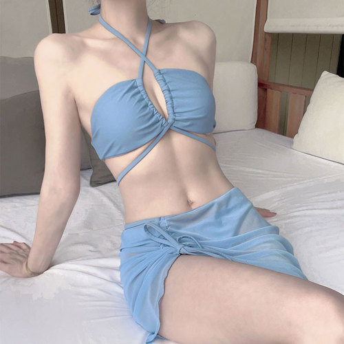 European and American cross-border new sexy strappy gauze skirt bikini three-piece set gather beach vacation Sanya seaside swimsuit