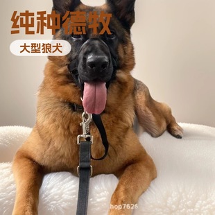 ���N������Ȯ�o�lȮ����Ȯ������w����С���������ͷ���Ȯ�ǹ�