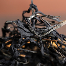 ���l ����ն��� 2024���Ͼ����� �Ϙ����� �紺��