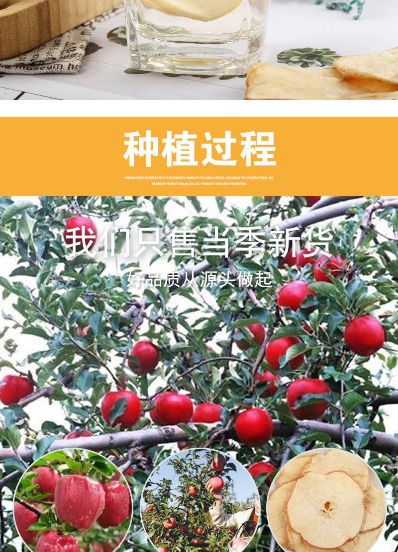 Handmade Dried Apple Slices (Malus domestica) — Low-Temperature Slow-Baked Fruit Tea & Herbal Blend Ingredient in use