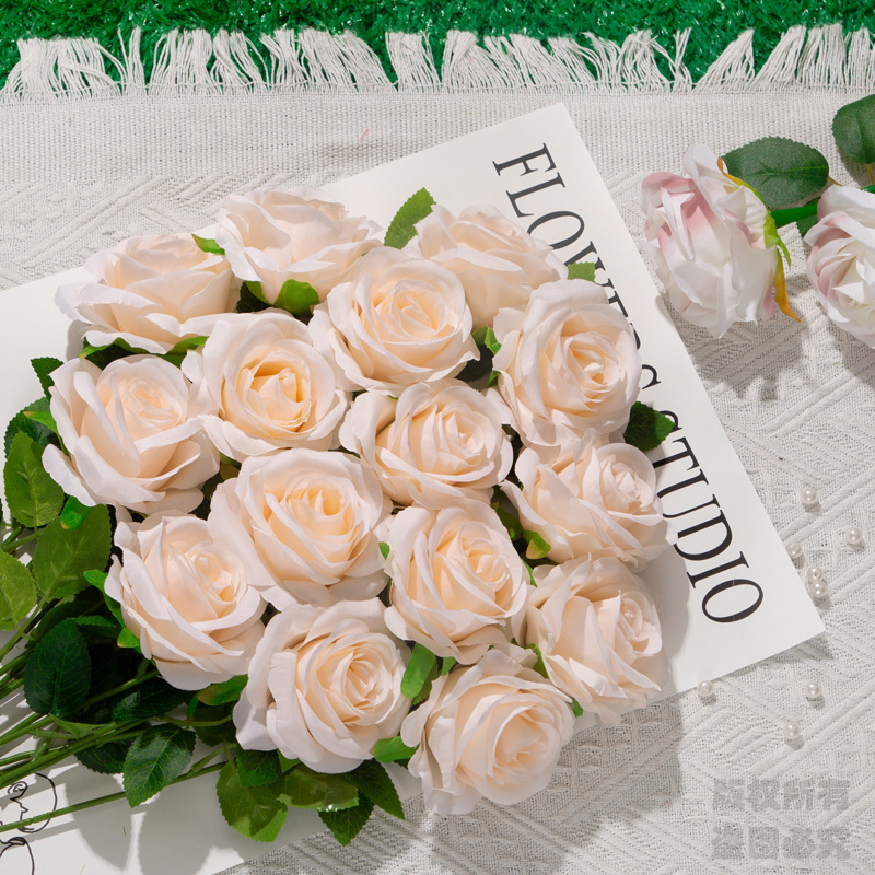 라이트 샴페인~