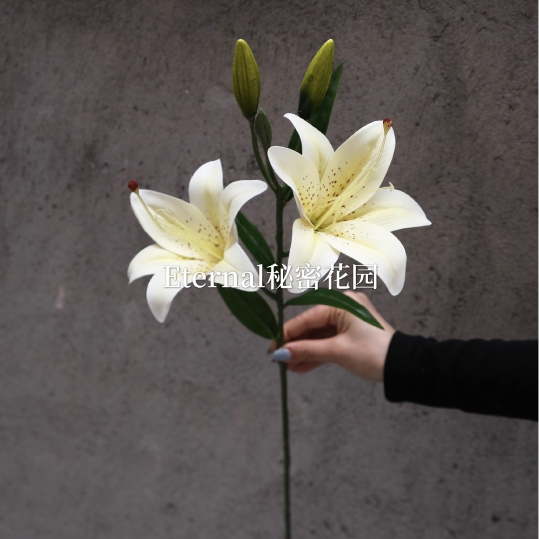 Lirio de dos cabezas blanco y amarillo