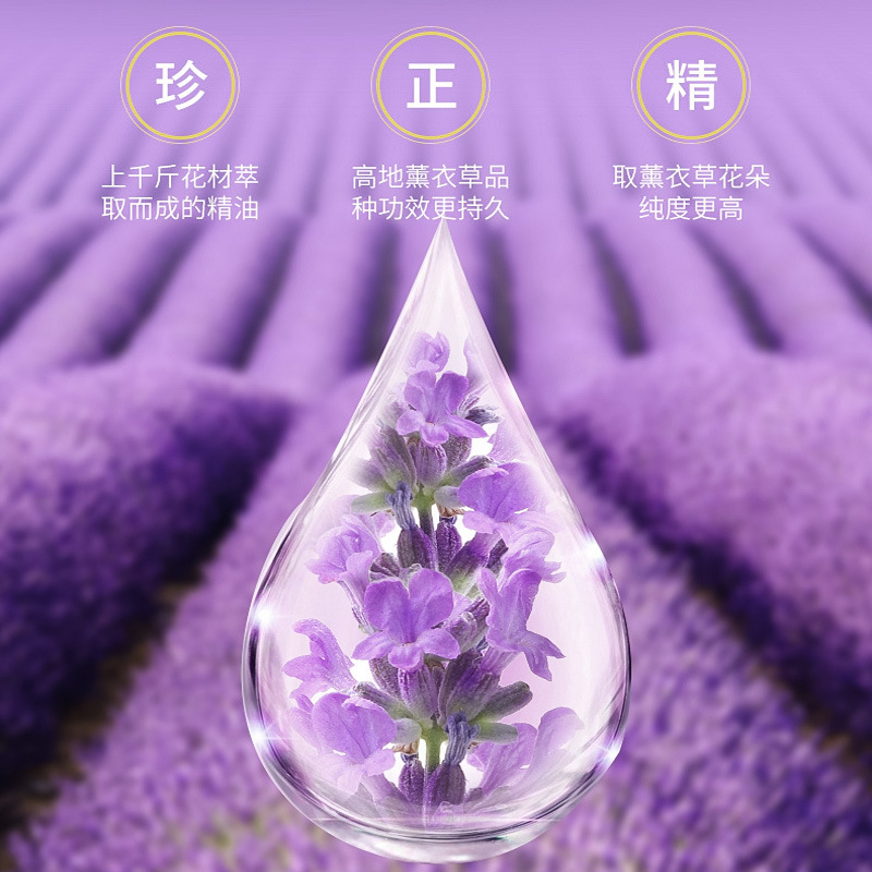 雲南ラベンダーエッセンシャルオイル、鎮静保湿、顔と体のマッサージ、美容院、天然植物エキス配合エッセンシャルオイルメーカー|undefined