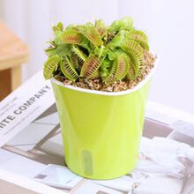 ��ω�݌W�������Ԏ����҃�ʳ�˻��޴�ҧ����Ó�ωʳ�x�ݴ����x��