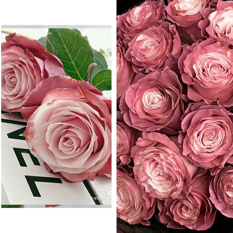 Internet celebridad ciruela negro rosa púrpura flores autopintadas agente de pulverización de color tinte floral spray colorante