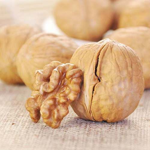 【Dropshipping】Roasted Walnut Xinjiang Paper-pith Walnuts Thin Peel Walnut for Pregnant Women Special Milk Aromatic Herbal Pepper Salt Roasted Walnuts