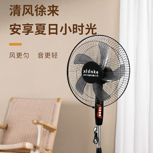 Electric fan home special 16 inch fan office vertical fan shaking head floor fan gift factory outlet