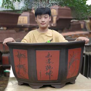 ͥԺ�����ڏ��ش�̖����������˽ǵ���ɰ����30���ϷN���մ�