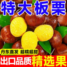 丹东新鲜现摘特大果板栗生板栗毛栗子粉糯甜非油板栗净重批发批发