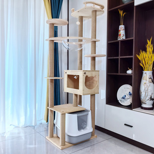 ȫ��ľ��ľ؈���ܴ��Ϳɷ�؈ɰ�虙��ռ����̨һ�w�e�����ӌ�����