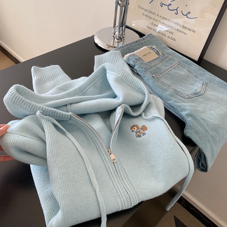 Double Zipper Blue Hooded Embroidered Long-Sleeved Knitted Cardigan Sweater Jacket for Women 2025 New Style Loose Slimming Top Double Zipper Blue Hooded Embroidered Long-Sleeved Knitted Cardigan Sweater Jacket for Women 2025 New Style Loose Slimming Top