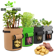 Nֲgrow bagֲֲֲֲLPotato pot