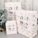 New Star KT Cat Gift Bag Ins High Color Value Exquisite Storage Bag Cartoon Gift Packaging Bag Sanrio