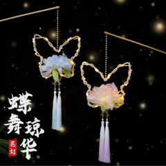 蝴蝶手提花灯中秋节拍照道具荷花灯元宵十五可发光好运莲莲灯笼