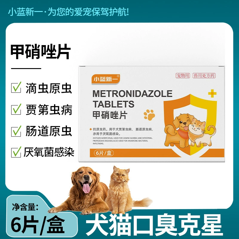 Собака кошачий стоматит язвы неприятный запах изо рта кошачий черный подбородок