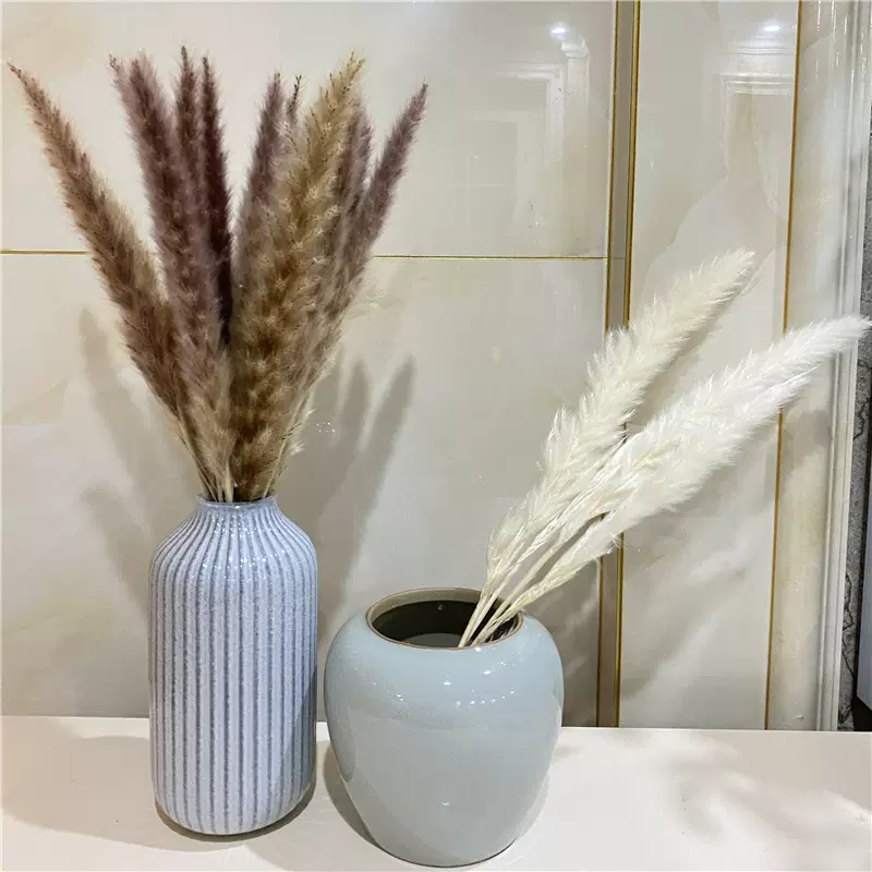 芦苇自然干花狐狸花佛尘花家居摆设落地装饰艺术拍摄道具白粉狐尾