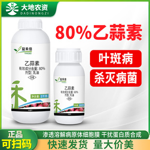 ��̱������� 80%������ ������ �����������O���~�߲��������rș