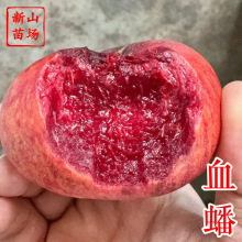 Ѫ����� ��ɽ�����Ʒ�N����6��5��C26�t��Ѫ������Ә��纆��B