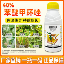 40%���Ѽ׭h����S����̿�Ҳ��׷��~�߲��P���ںְ߲���Ʒ������