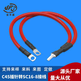 厂家定制DZ47光伏接线端子 c45插针端子线 鸭嘴冷压铜鼻4平方接线