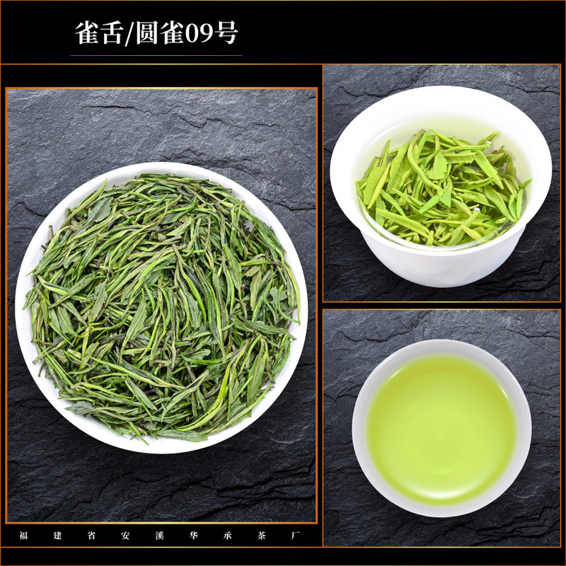 高山茶 緑茶 2025 新茶 鳥舌緑茶 明前全芽茶 梨香鳥舌 バルク春茶|undefined