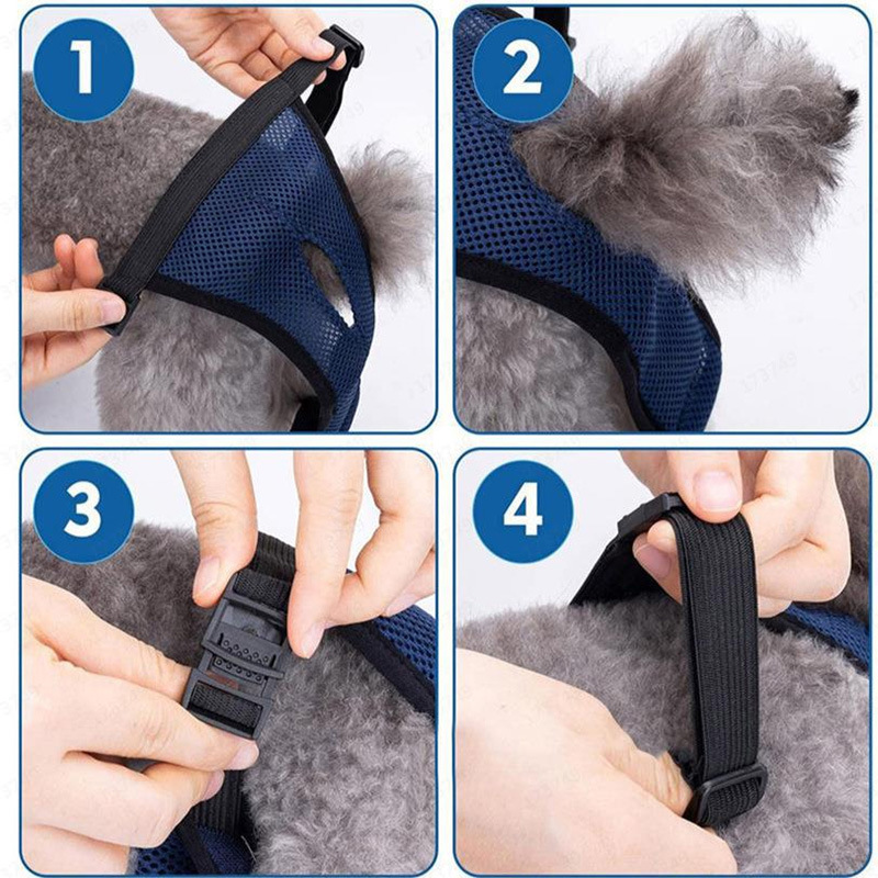 Dog Diaper Blue Color