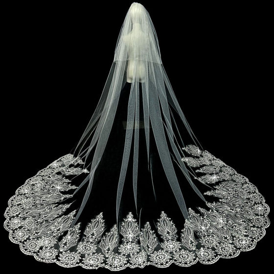 Bride Wedding Main Wedding Dress Veil Super Immortal Mori Korean Style Long Trailing High-end Lace Veil Accessories