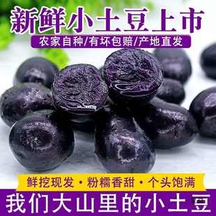 �ຣ�a���r�������ڽ�����ɫ���R��������С��������������