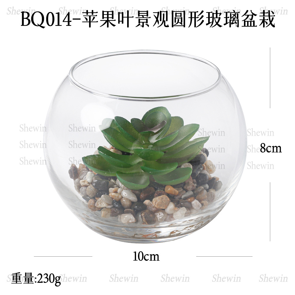 Spot apple leaf tropical plant succulent micro-landscape desert…