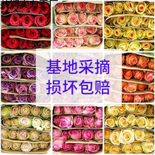 �滨õ�廨�r�������������ֱ�l���l����ˮ�B�͏d�廨�����f���]