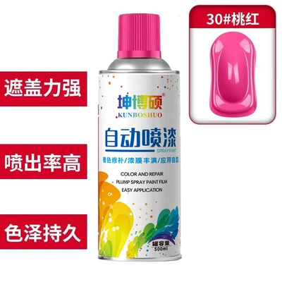 Spray Paint Hand-Cranked Self-Spray Paint: Avtomobil boya qələmləri - 1-piece-30-pink