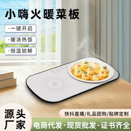 暖风机取暖器;保温餐桌/板;烘鞋器干鞋器