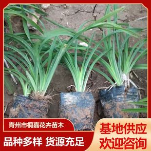 ��ѿ����ݻ������l���@ͥԺ�ļ��_�����������