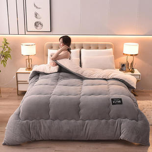 Thickened milk velvet winter quilt lamb velvet quilt snowflake velvet single double dormitory warm spring and autumn quilt core factory outlet