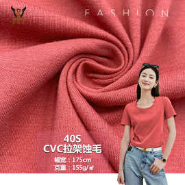 直销 涤棉针织面料 40S支CVC拉架蚀毛休闲T恤背心时装玩具布料