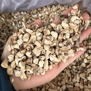 ���{�㹽�_��ĥ����μ��㹽�Ⱦ������Ϯa�����l���깩��500g�Ƀ�
