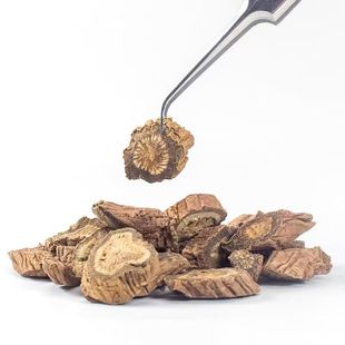 ����Ұ����ș�Ĵ��m���m�ന����Ʒ������ș�����l����